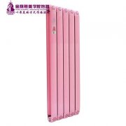 散熱器十大品牌哪家好:使節(jié)能發(fā)揮到極致！